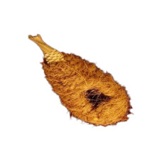 Ninho Exotico Pêra Bamboo